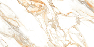 Керамогранит Ceraland Calcatta Paonazzo (60х120) глянец